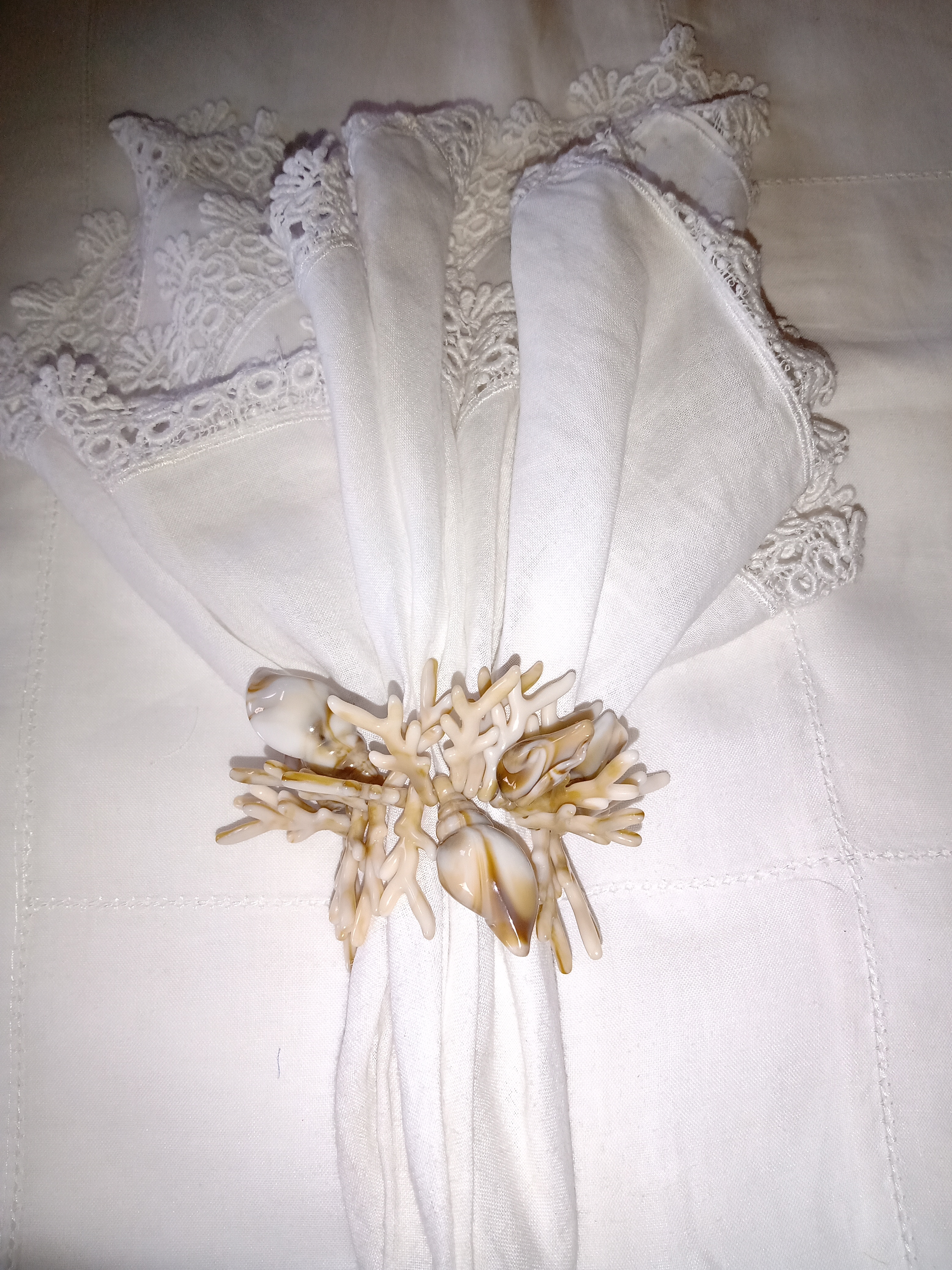 CORAIS BEGE E CONCHAS